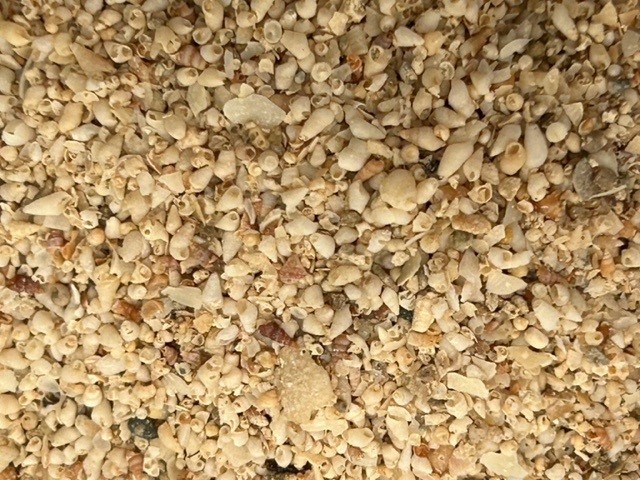 5kg Fine Bird grit 5kg Fine Bird grit